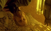 Klimt