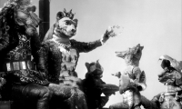 Le Roman de renard