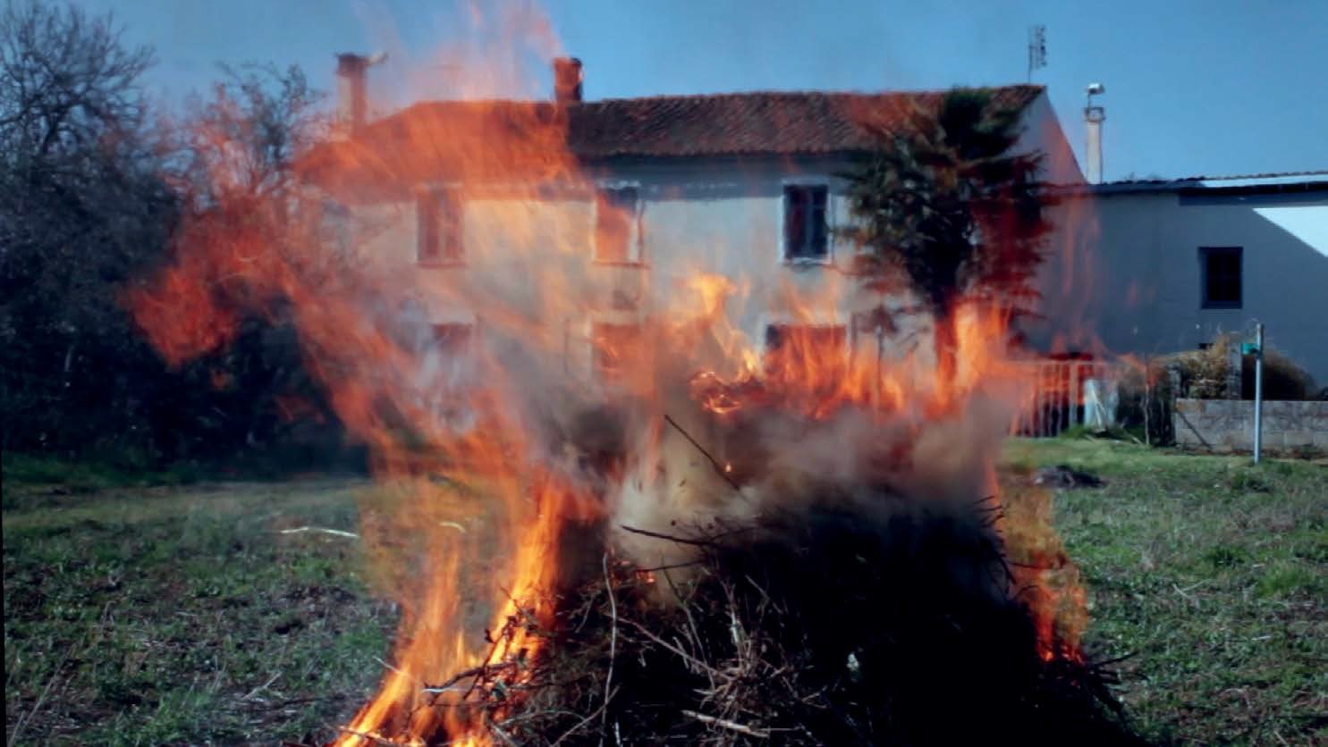 Dans l’œil du chien