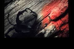 festival-film-europeen-leurope-autour-de-leurope-website-corto2-2025-photos-016