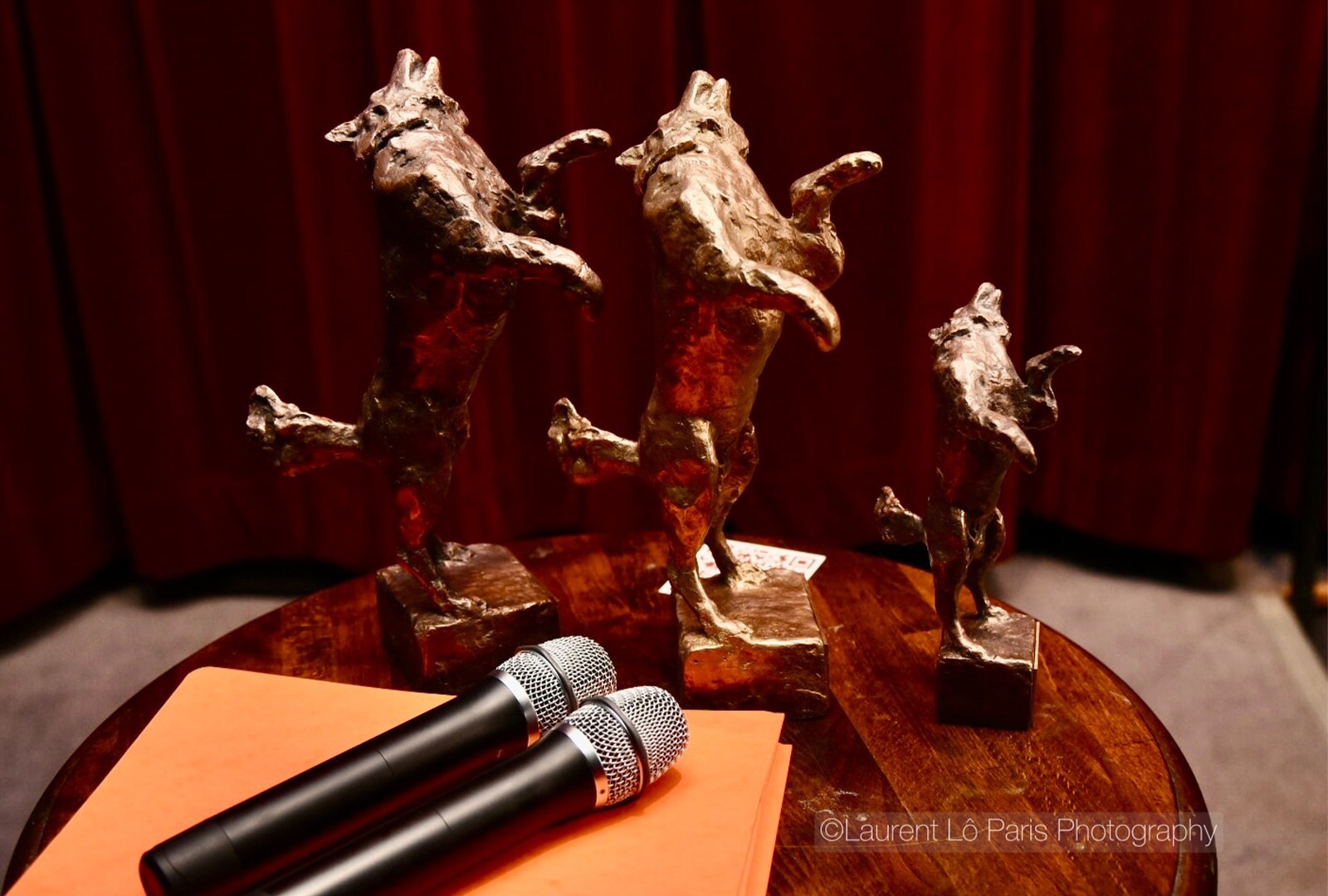 festival film europeen leurope autour de leurope about festival programmation photos 002