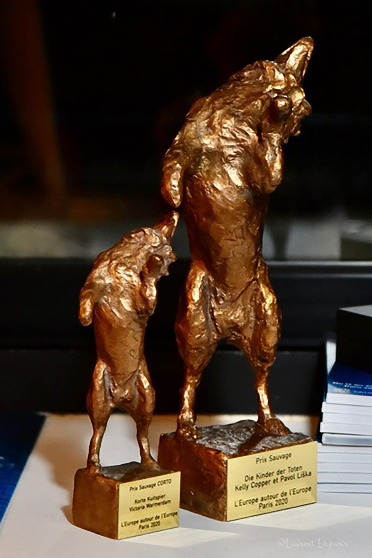 Trophées du festival L'Europe autour de l'Europe