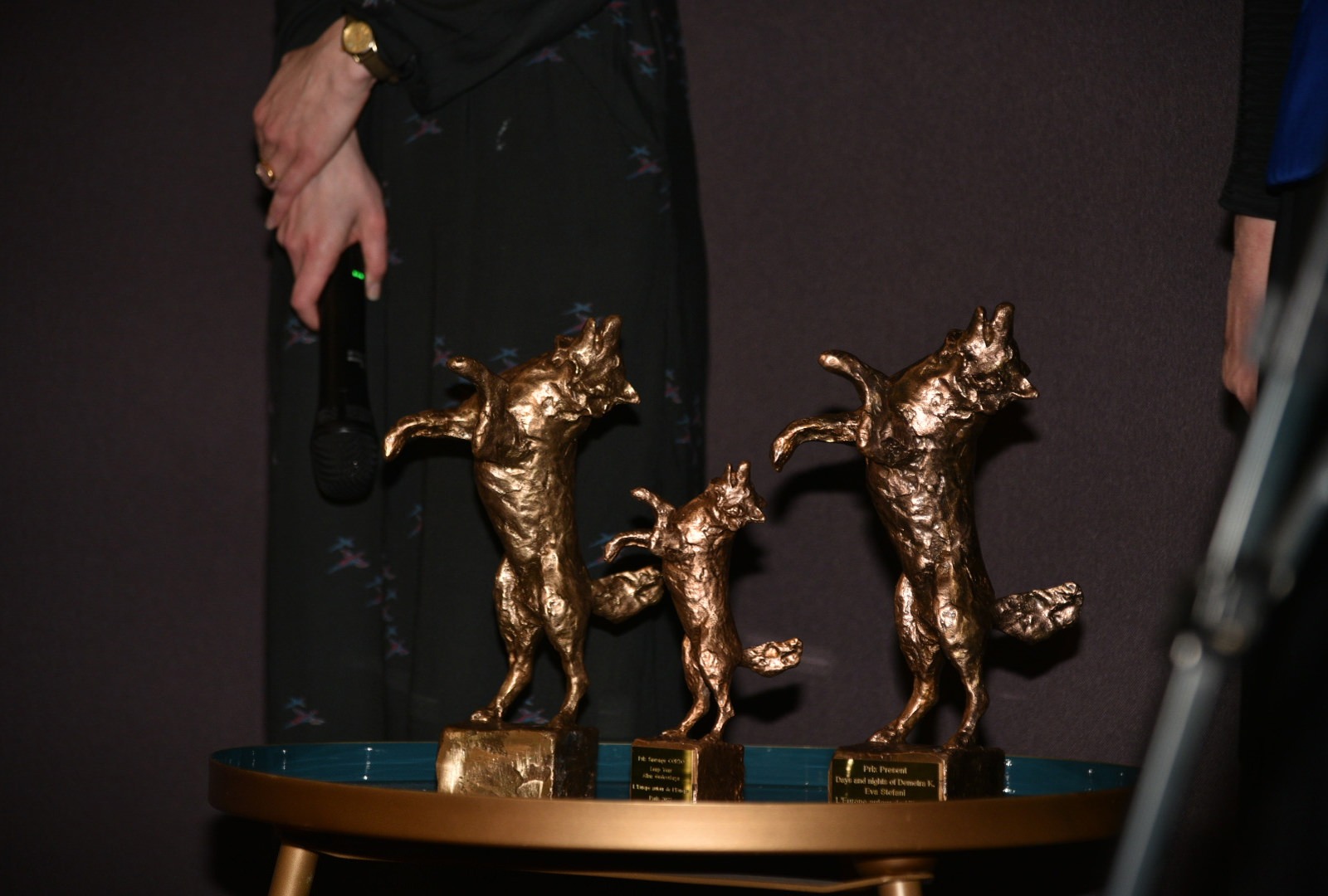 festival film europeen leurope autour de leurope website about trophies photos 007