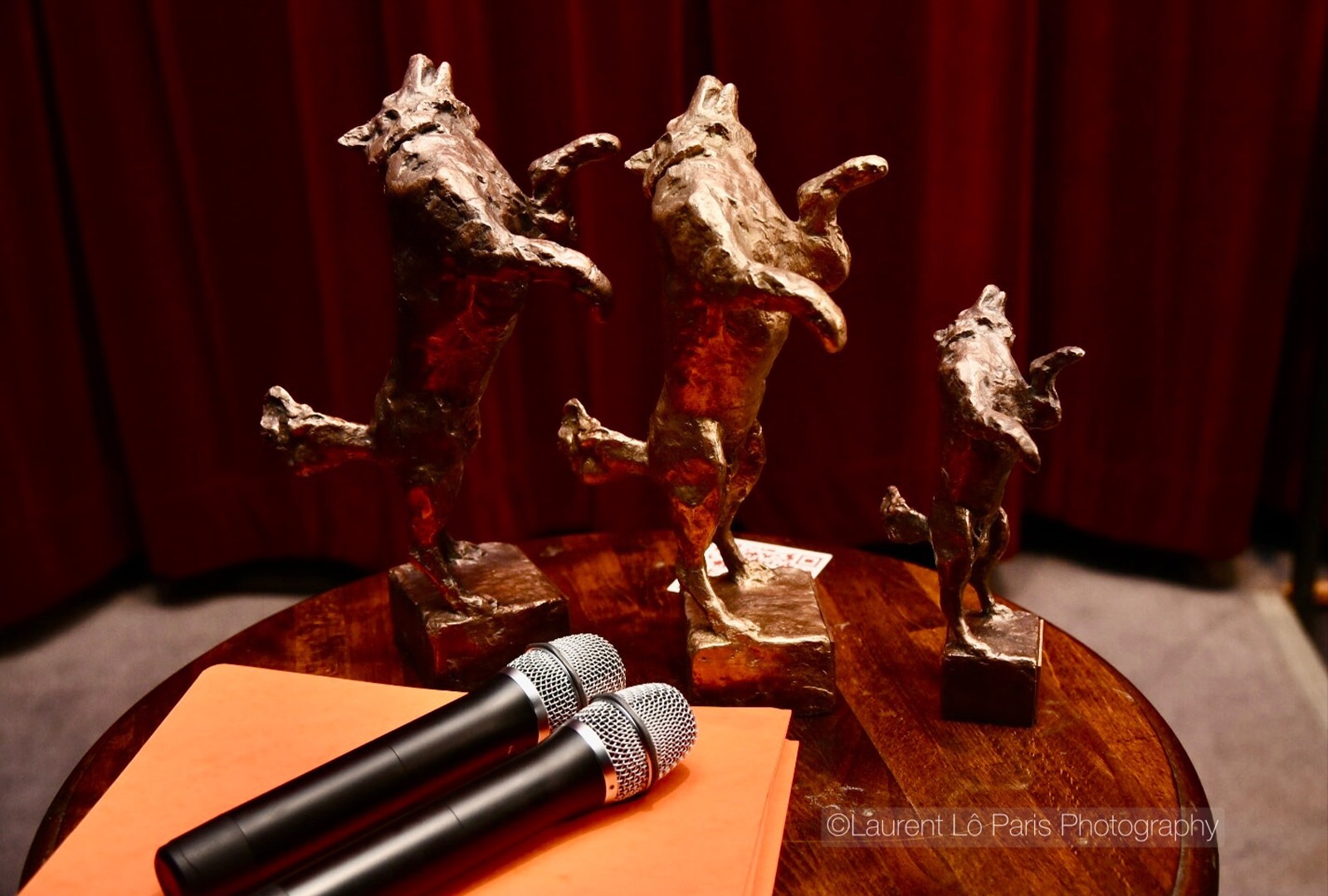festival film europeen leurope autour de leurope website about trophies photos 008