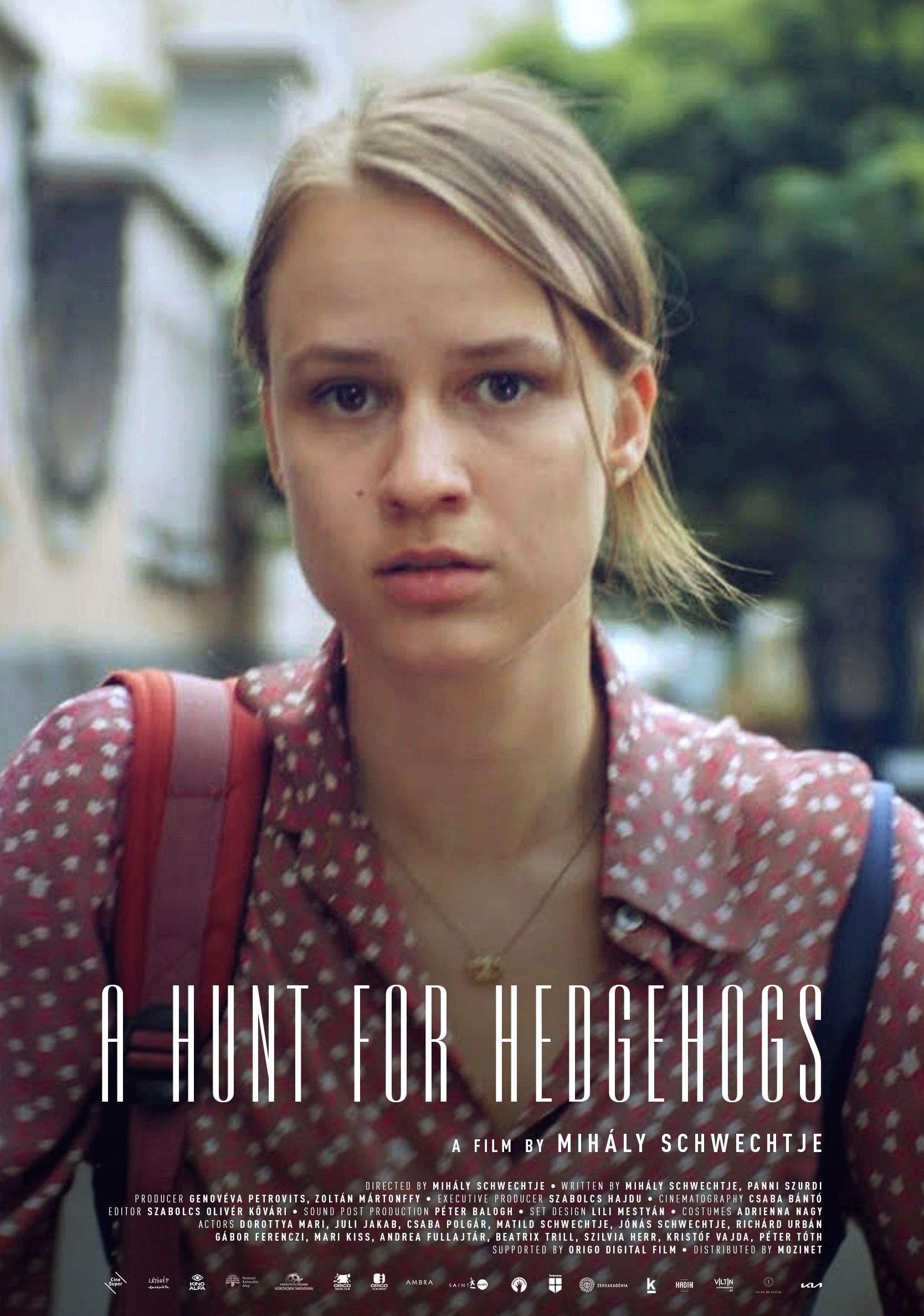 A hunt for hedgehogs